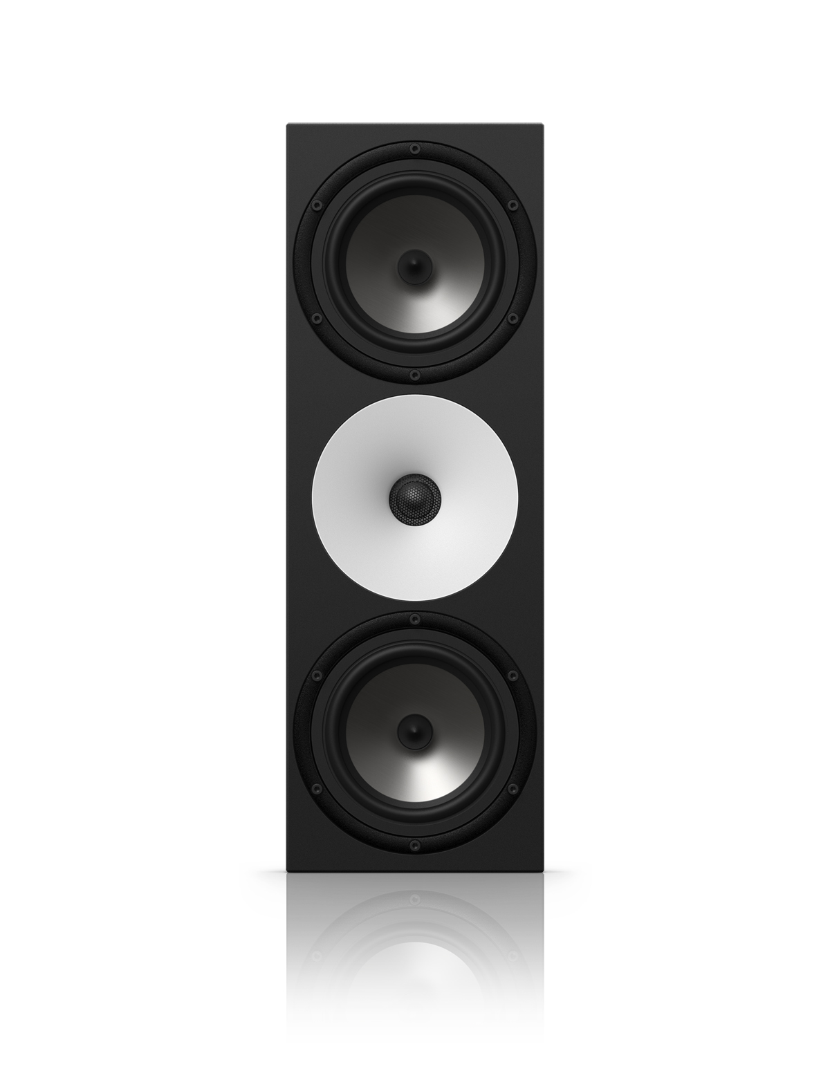 Amphion Two18 Pair (B-Ware)